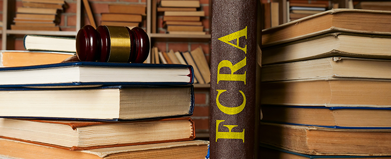 UNDERSTANDING THE FCRA AND YOUR RIGHTS